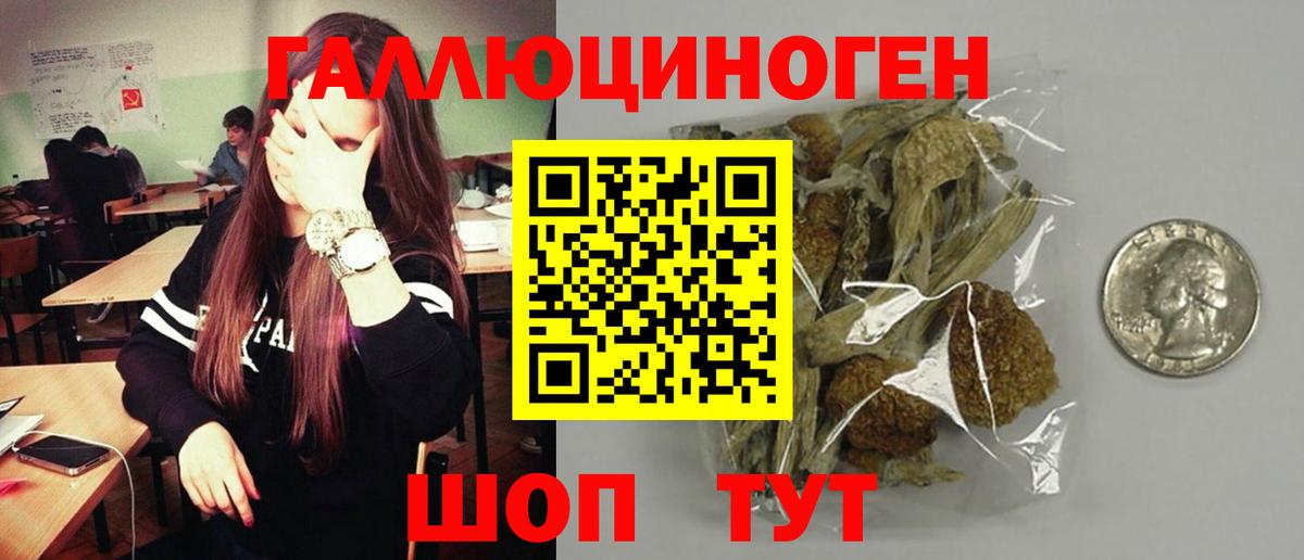 Полевской  Псилоцибиновые грибы прущие грибы  Вход с VPN 